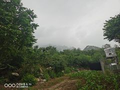 -凤凰小镇·徐州特色菜(凤凰岭店)