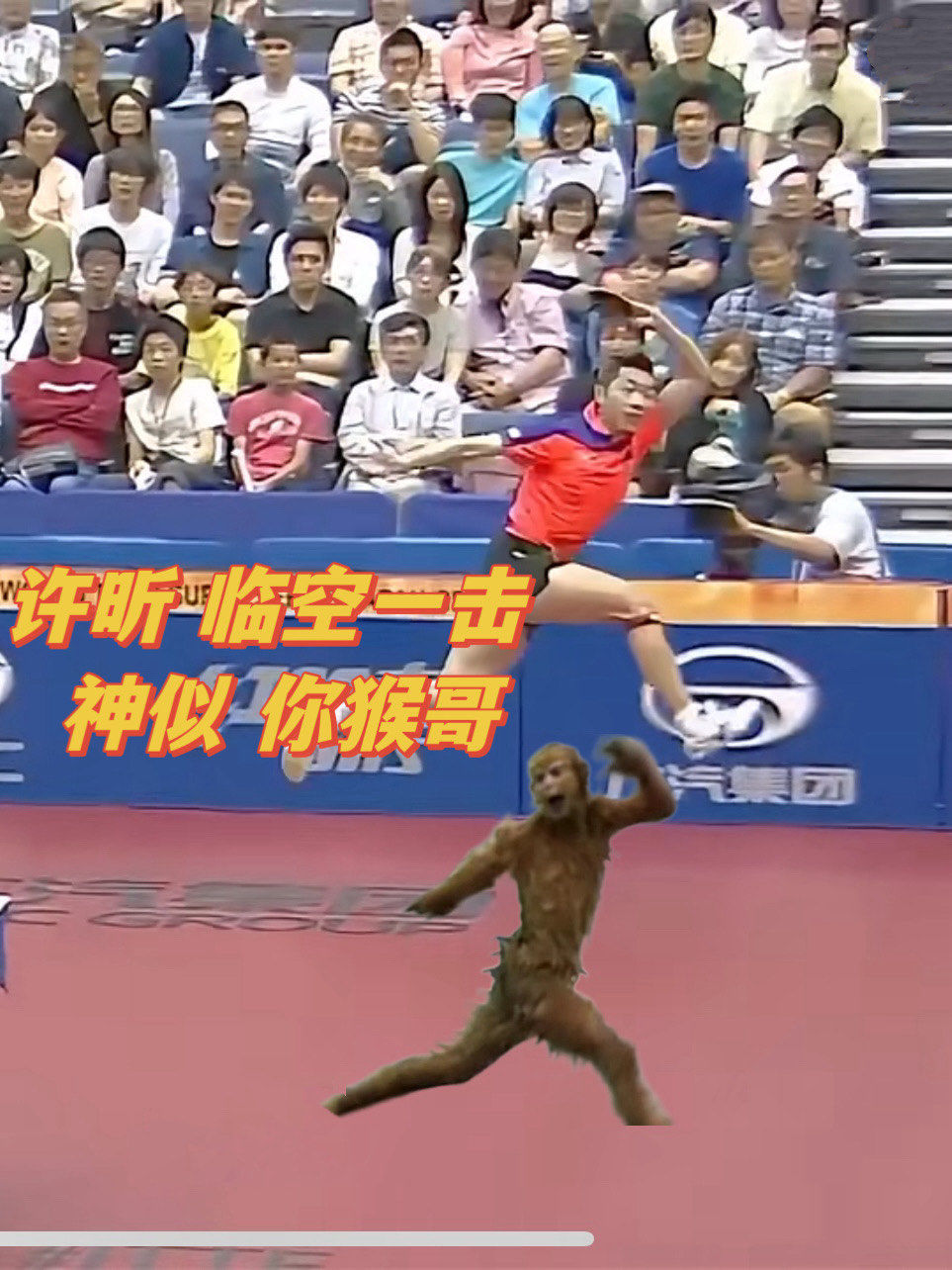 许昕临空一击 神似猴王出世99