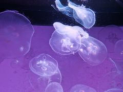 -沈阳海洋探索中心