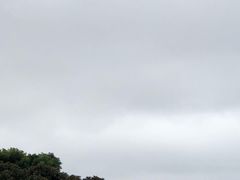 -胜利之吻