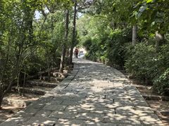 -无染寺