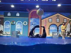 -重庆欢乐海底世界