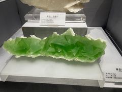 -湖南省地质博物馆