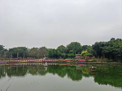 -南宁南湖公园