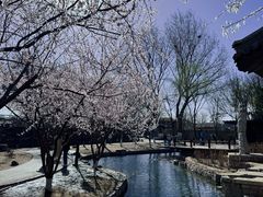 -三里河公园