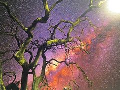 -罗红摄影艺术馆