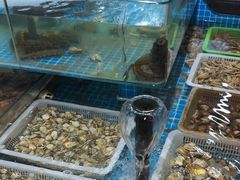 -和源祥·日照菜扛把子(万平口一店)