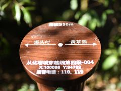 -广州市流溪河国家森林公园