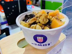 -一只酸奶牛(八一路店)