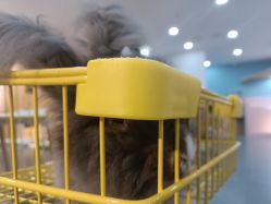 -Moni星球萌宠·小马宝莉·灵蛇·高端高阶全萌宠互动体验俱乐部(红豆国际广场店)