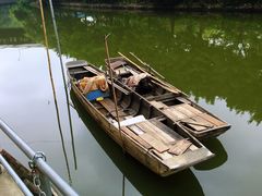 -小洲村