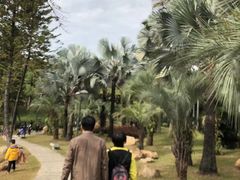-三水森林公园