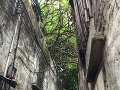 -许地士多