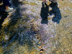 -北仑森林植物园