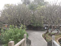 -晓港公园