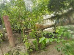 -成都动物园