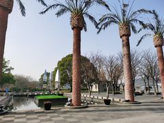 -上海月湖雕塑公园