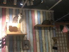 -小时光咖啡馆(开森度假森林店)