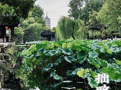 -拙政园
