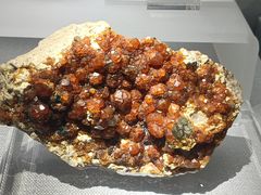 -湖南省地质博物馆