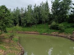 -八大山人梅湖景区