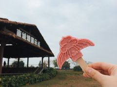 -良渚古城遗址公园