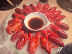 冰镇大虾-红盔甲·小龙虾(定西路店)