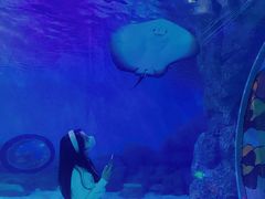-常州海昌海洋探索馆