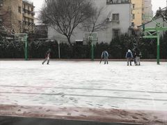 -上海市位育初级中学