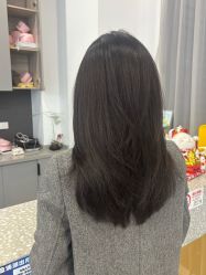 -世田造型
