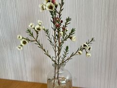 -尤加利咖啡馆