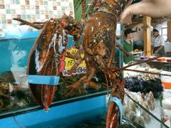 -港畔赶海蒸汽海鲜烧烤自助(仙螺岛店)
