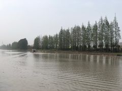 -上海皇廷花园酒店·御宴中餐厅