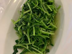 蒜茸鸡毛菜-首钢一九一九大酒楼(石景山店)