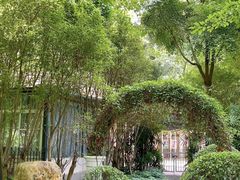 -东风公园