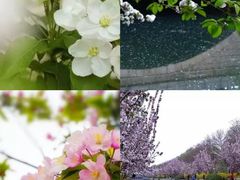 -国家植物园