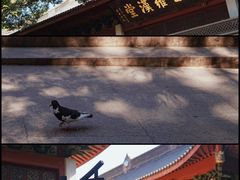 -灵隐飞来峰景区