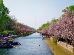 -元大都城垣遗址公园