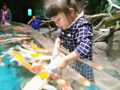 -多彩贵州城极地海洋世界