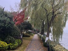 -浙江西子宾馆·瑶园咖啡厅