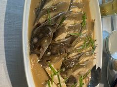 -开海·红岛海鲜虾水饺(石老人店)