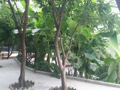 android_upload_pic-地主大院