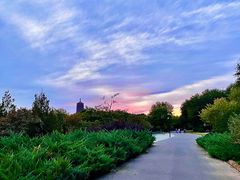 -永定河休闲森林公园