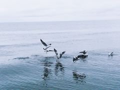 -青海湖仙女湾景区