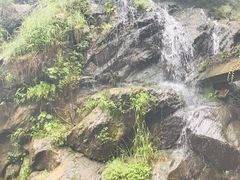 -少华山国家森林公园