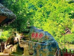-野象谷景区