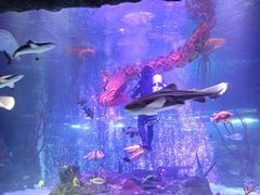 -沈阳海洋探索中心