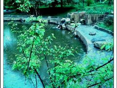 android_upload_pic-沈阳植物园