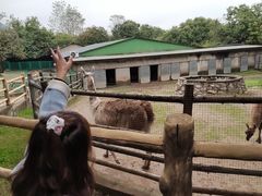 -西安秦岭野生动物园