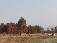 -四明湖